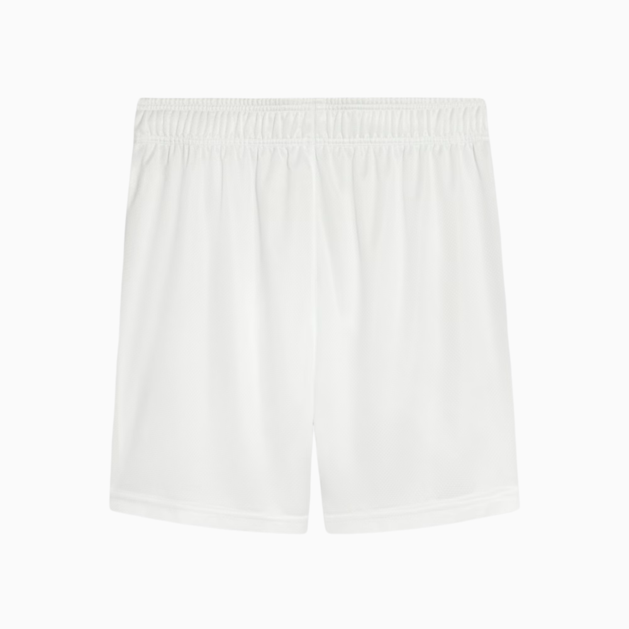 Shorts Palmeiras 2025 I – Torcedor