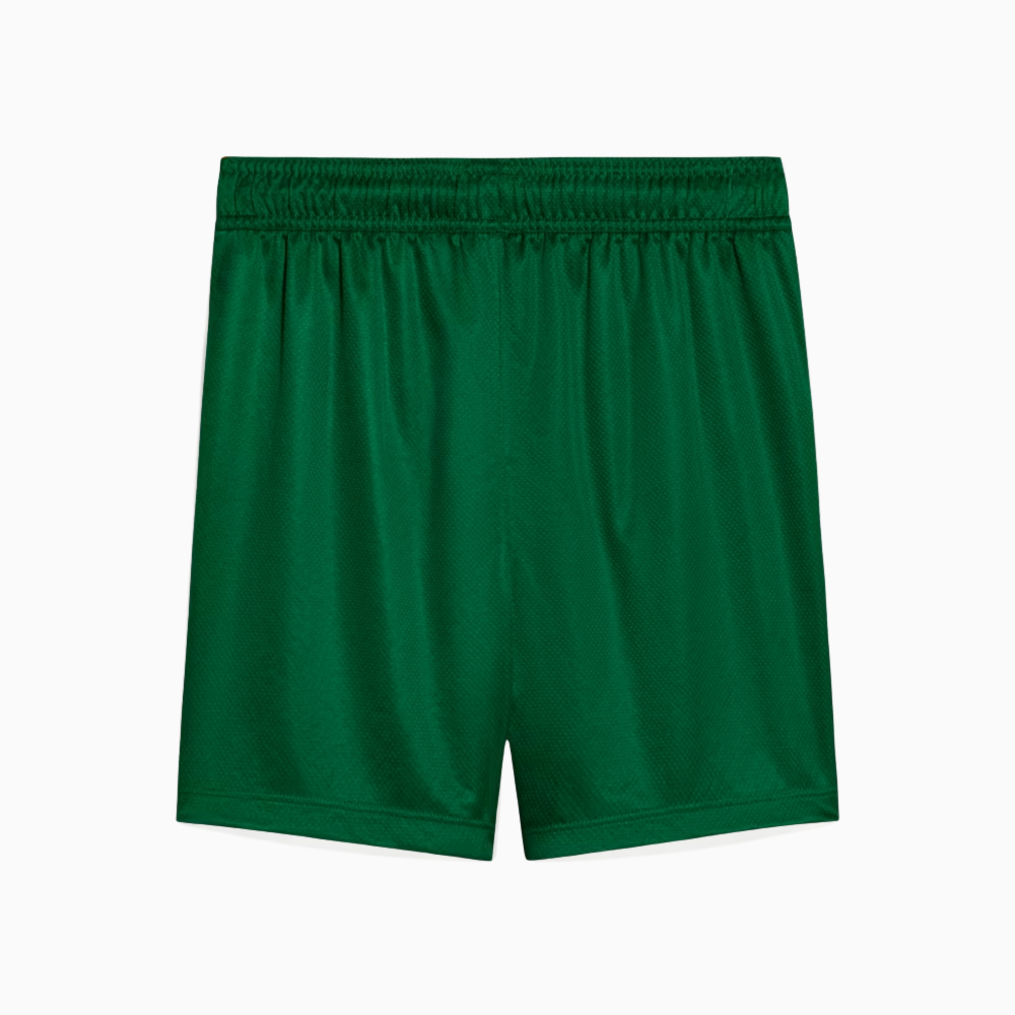 Shorts Palmeiras 2025 II – Torcedor