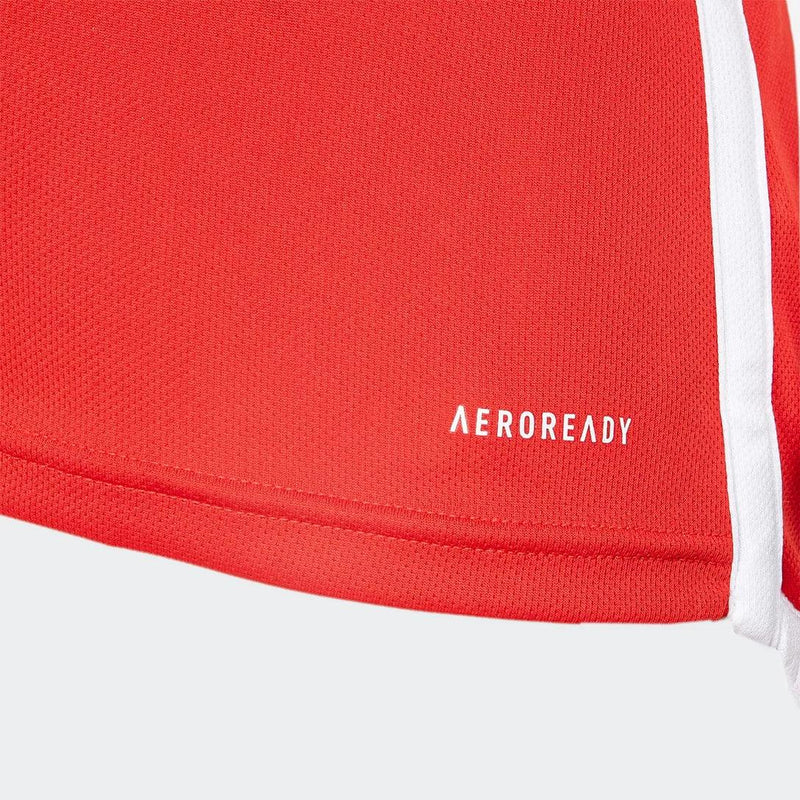 Camisa Internacional  24/25 - Home