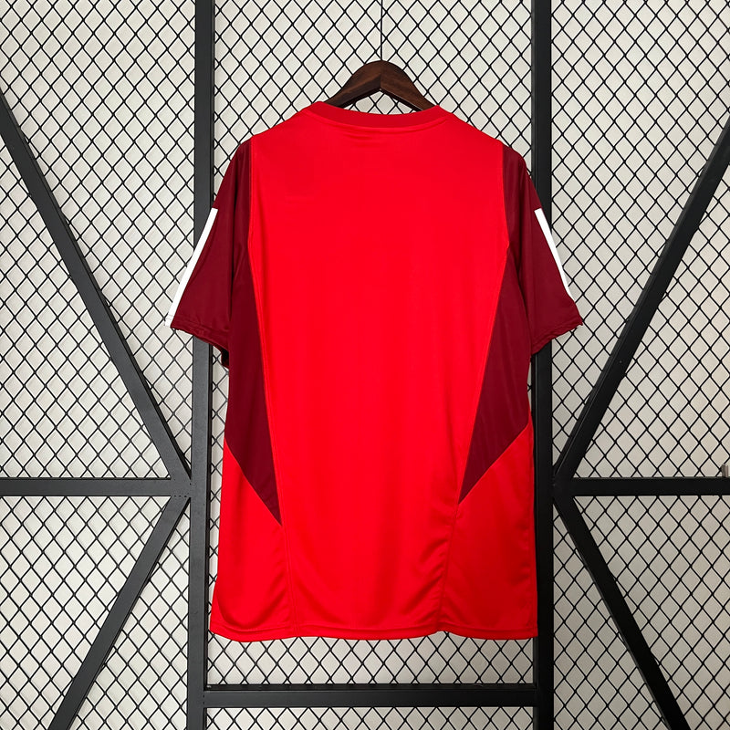 Camisa Treino Internacional I 24/25