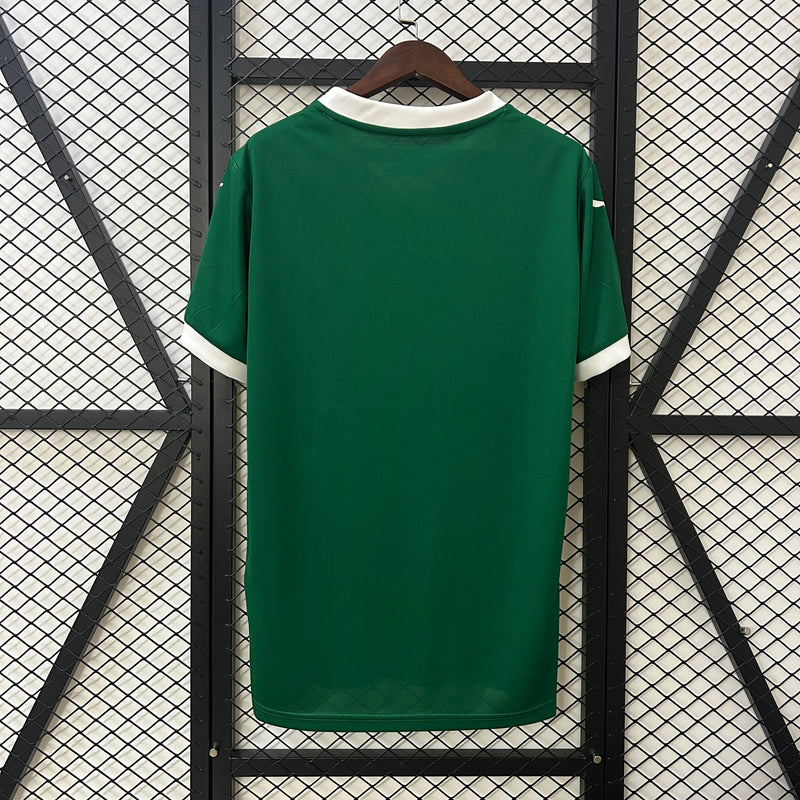 [LANÇAMENTO] Camisa do Palmeiras 25/26 - Home