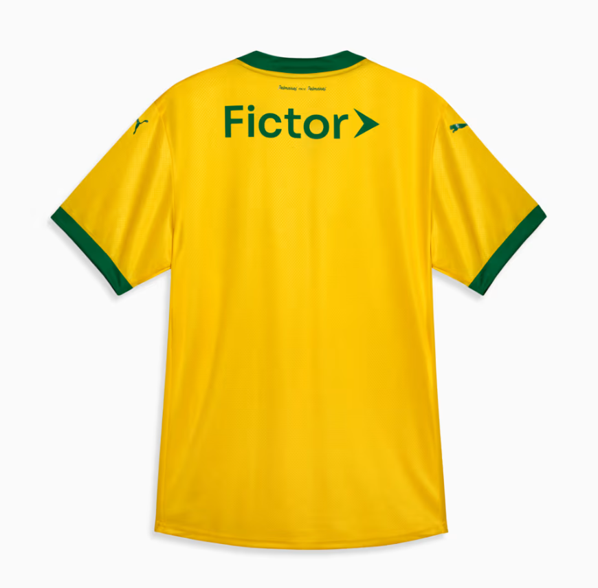 Camisa Puma Palmeiras III 2025/26 Torcedor