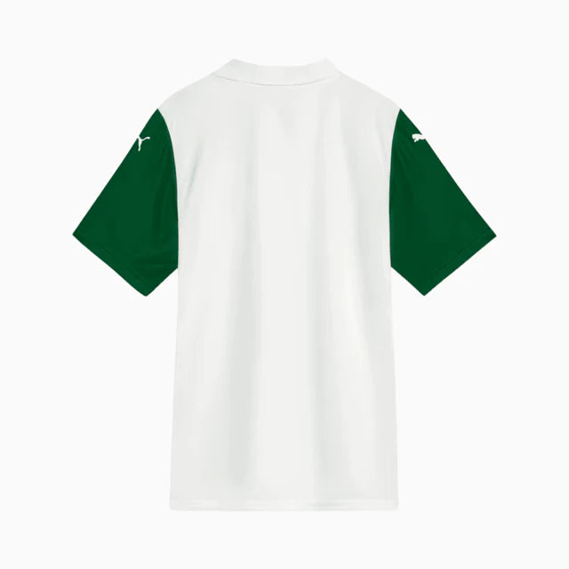 Camisa do Palmeiras 25/26 - Away